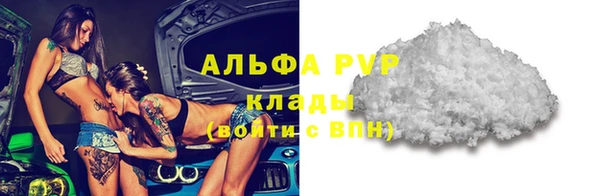 винт Шали