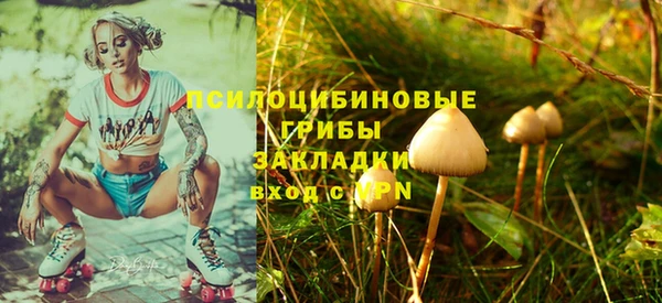 синтетический гашиш Ельня