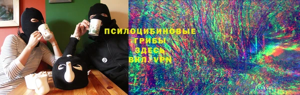 кокс Елизово