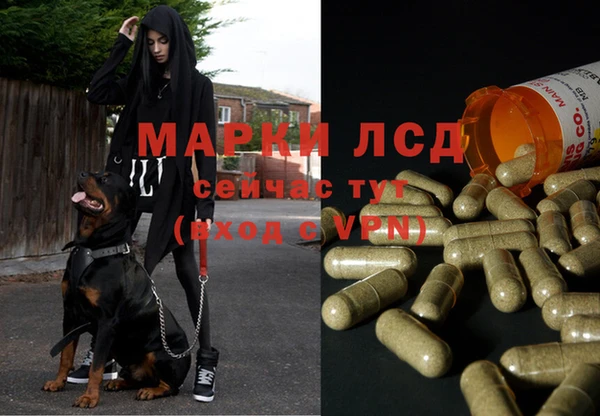 кокс Елизово