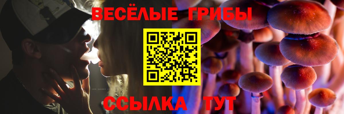 Борзя  Псилоцибиновые грибы MAGIC MUSHROOMS  Вход с VPN 